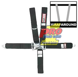 5 Point Harness Seatbelt